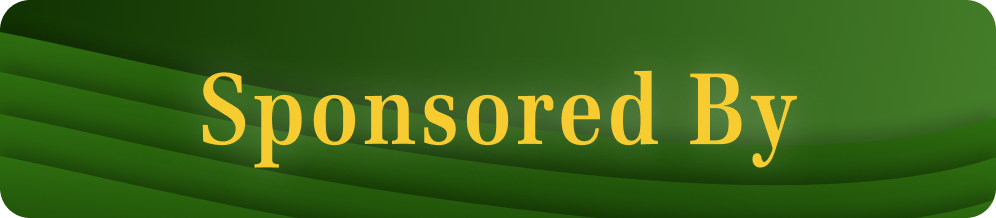 Sponsor by